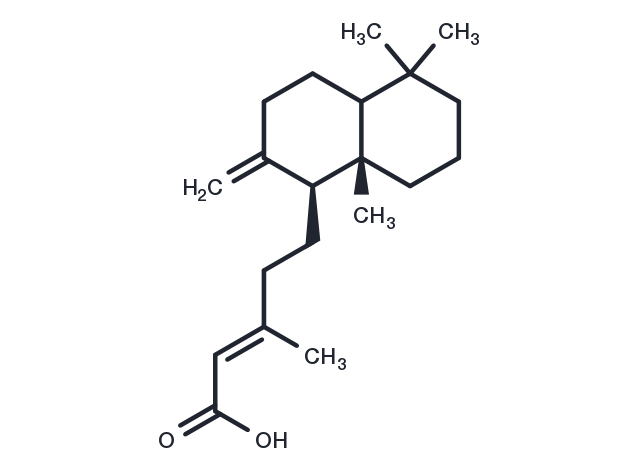 Anticopalic acid Chemical Structure