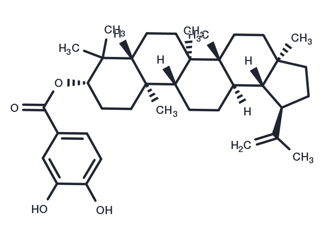 3,4-Dihydroxybenzoyllupeol Chemical Structure