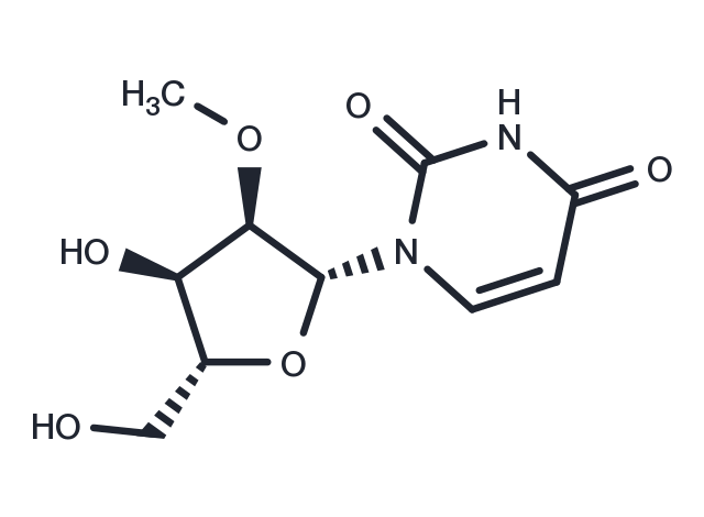 2′-O-Methyluridine Chemical Structure