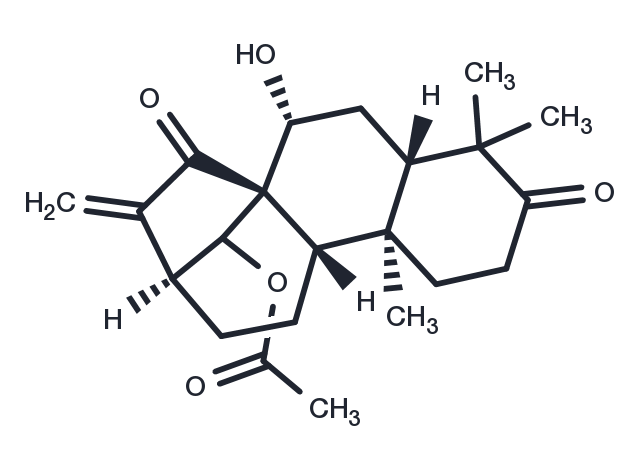Glaucocalyxin B Chemical Structure