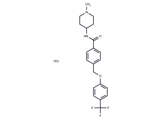 GT-0198 HCl Chemical Structure