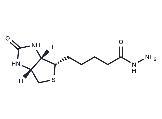 Biotin Hydrazide Chemical Structure