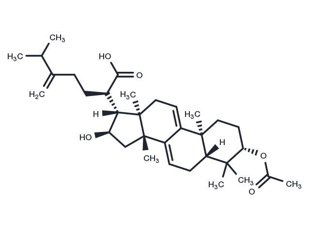 Dehydropachymic acid