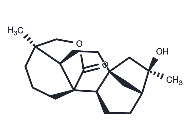 Neotripterifordin Chemical Structure