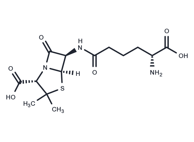 Adicillin Chemical Structure