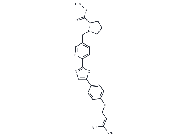 CIDD-0067106 Chemical Structure