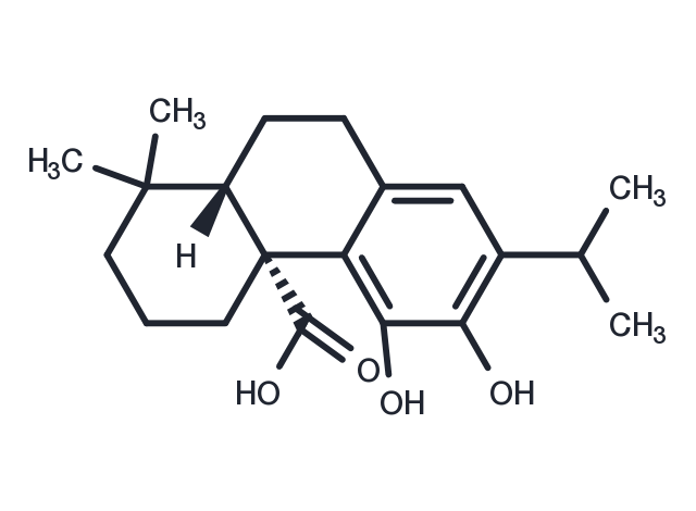 Carnosic acid Chemical Structure
