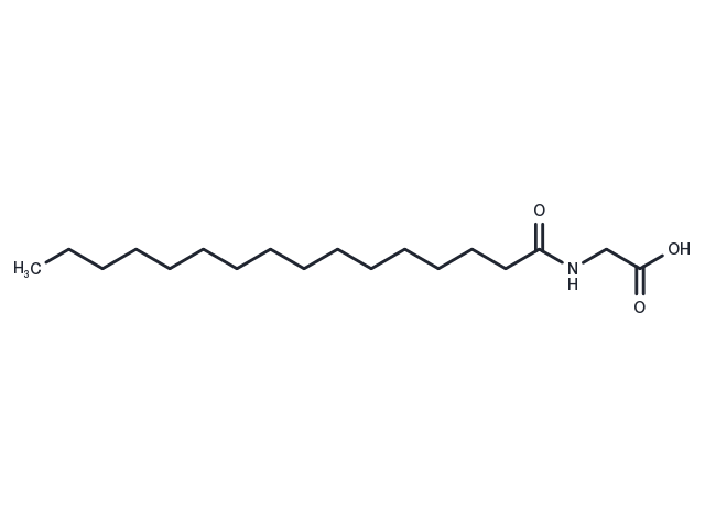 N-Palmitoyl Glycine Chemical Structure