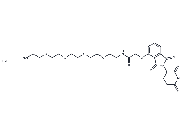 Thalidomide-O-amido-PEG4-C2-NH2 hydrochloride
