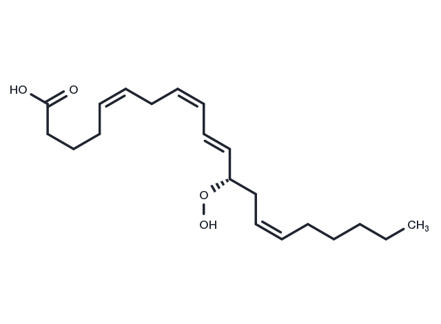 12(S)-HpETE Chemical Structure