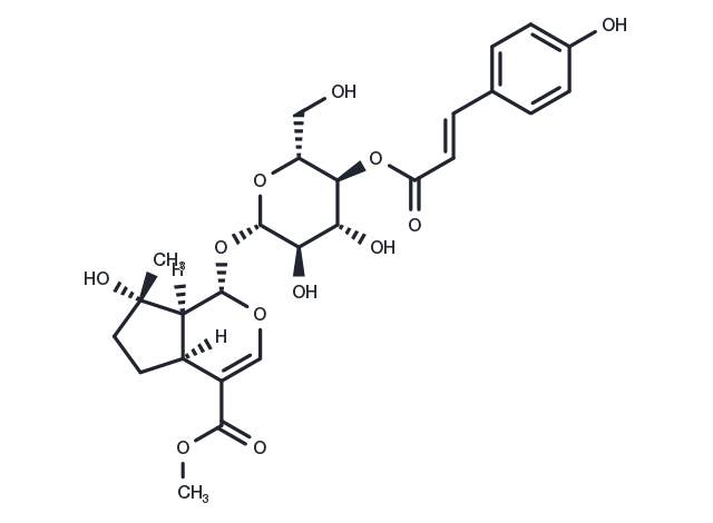 4'-O-trans-p-Coumaroylmussaenoside Chemical Structure