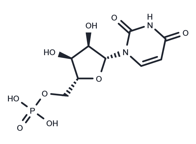 Uridine 5'-monophosphate