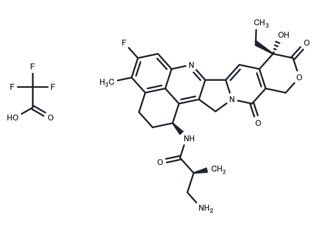 NH2-methylpropanamide-Exatecan TFA Chemical Structure