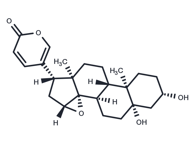 Marinobufogenin Chemical Structure