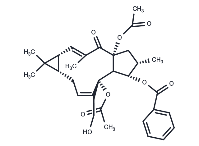 Euphorbia factor L24 Chemical Structure