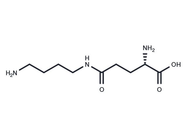 Glutamylputrescine Chemical Structure