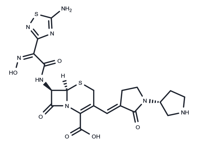 Ceftobiprole Chemical Structure