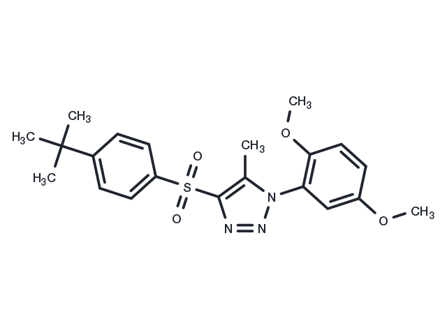 Specific PXR antagonist 70 Chemical Structure