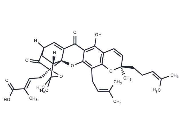Isogambogic acid Chemical Structure