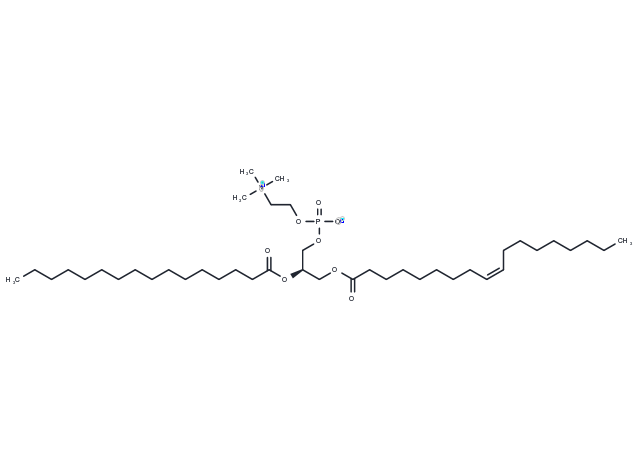 1-Oleoyl-2-palmitoyl-sn-glycero-3-PC Chemical Structure