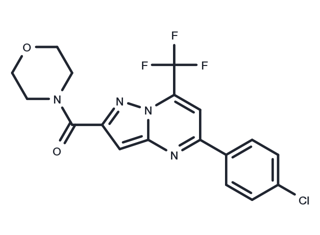 Acetamide, N-(5-amino-2-(octyloxy)benzyl)- Chemical Structure