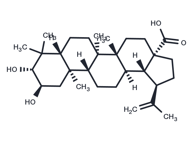 Alphitolic acid Chemical Structure