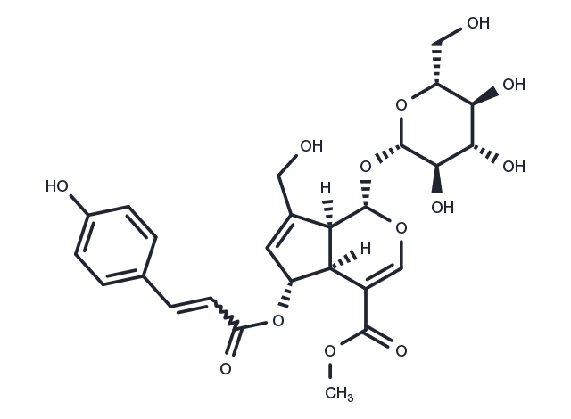(E)-6-O-(p-coumaroyl)scandoside methyl ester Chemical Structure