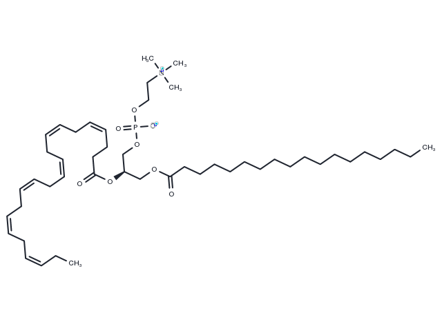 1-Stearoyl-2-docosahexaenoyl-sn-glycero-3-PC Chemical Structure