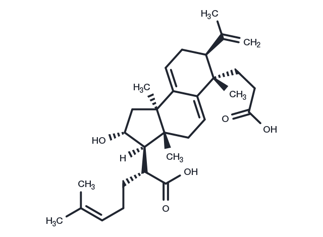 Poricoic acid B Chemical Structure