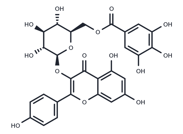 Kaempferol 3-O-(6''-galloyl)-beta-D-glucopyranoside Chemical Structure