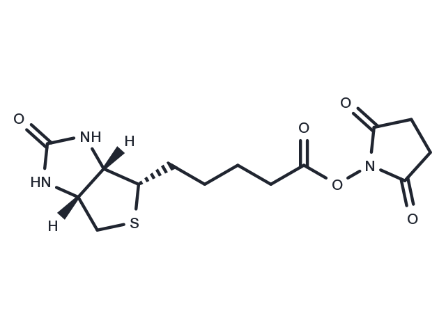 Biotin NHS Chemical Structure