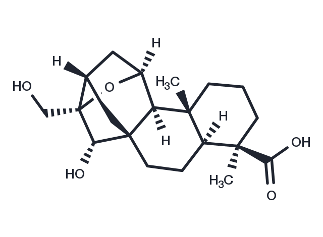 Adenostemmoic acid G Chemical Structure