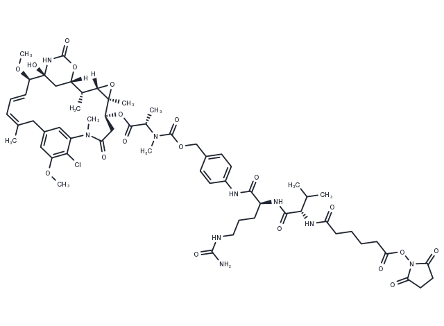 SC-VC-PAB-DM1 Chemical Structure