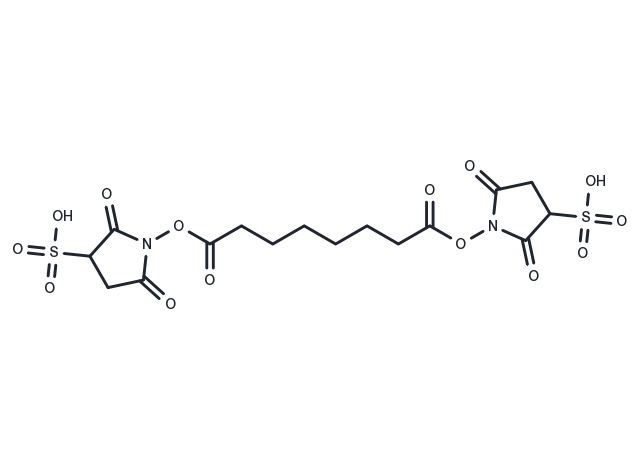 BS3 Crosslinker Chemical Structure