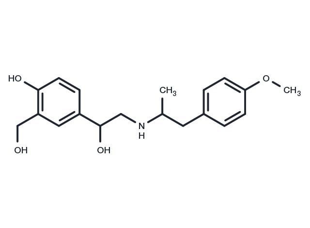 Salmefamol Chemical Structure