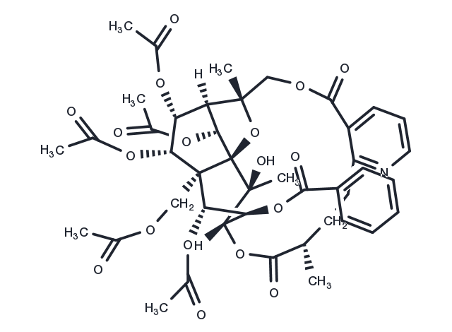 Wilforine Chemical Structure