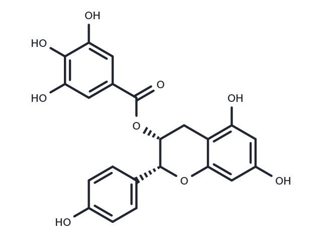 (-)-Epiafzelechin 3-O-gallate Chemical Structure