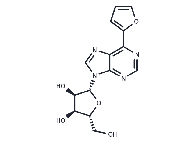 6-(Furan-2-yl)purine-beta-D-riboside Chemical Structure