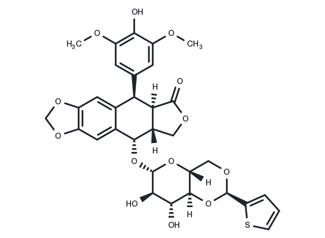 Teniposide Chemical Structure