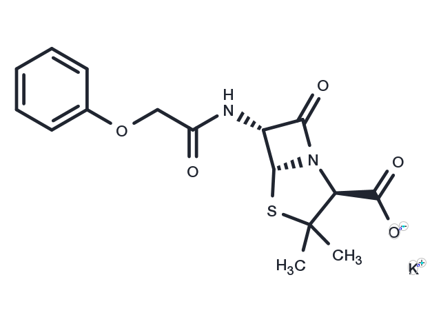 Penicillin V Potassium Chemical Structure