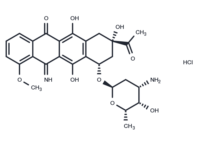 5-Iminodaunorubicin hydrochloride Chemical Structure