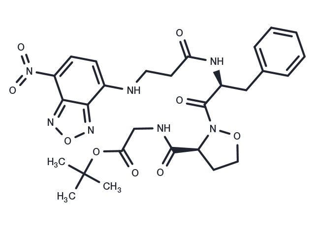 S 4404 Chemical Structure