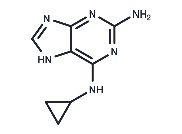 2-Amino-6-cyclopropylamino-9H-purine Chemical Structure