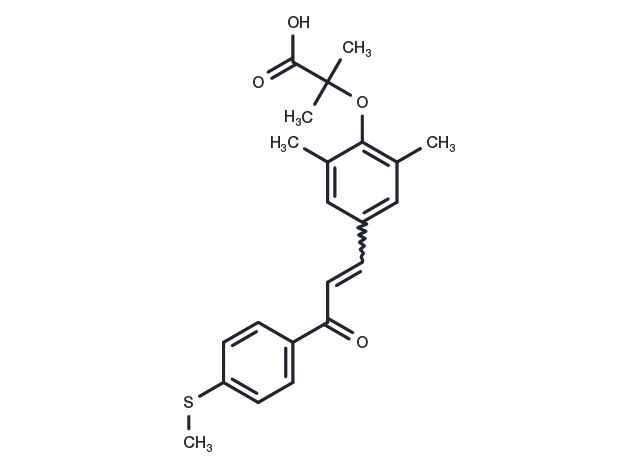 GFT505 Chemical Structure
