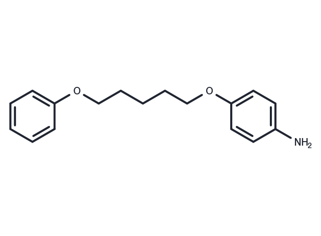 Aniline, p-(5-phenoxypentyloxy)- Chemical Structure
