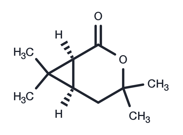 (1S)-Chrysanthemolactone Chemical Structure