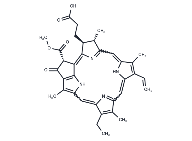 Pheophorbide a Chemical Structure