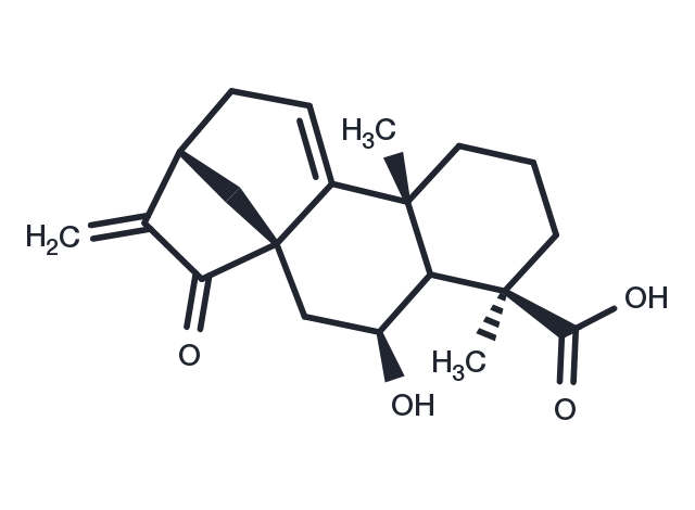 Pterisolic acid B Chemical Structure