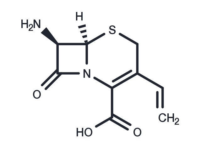 (6R,7R)-7-Amino-8-oxo-3-vinyl-5-thia-1-azabicyclo[4.2.0]oct-2-ene-2-carboxylic acid Chemical Structure
