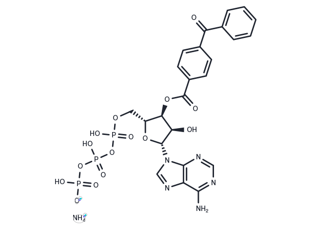 BzATP triethylammonium salt Chemical Structure